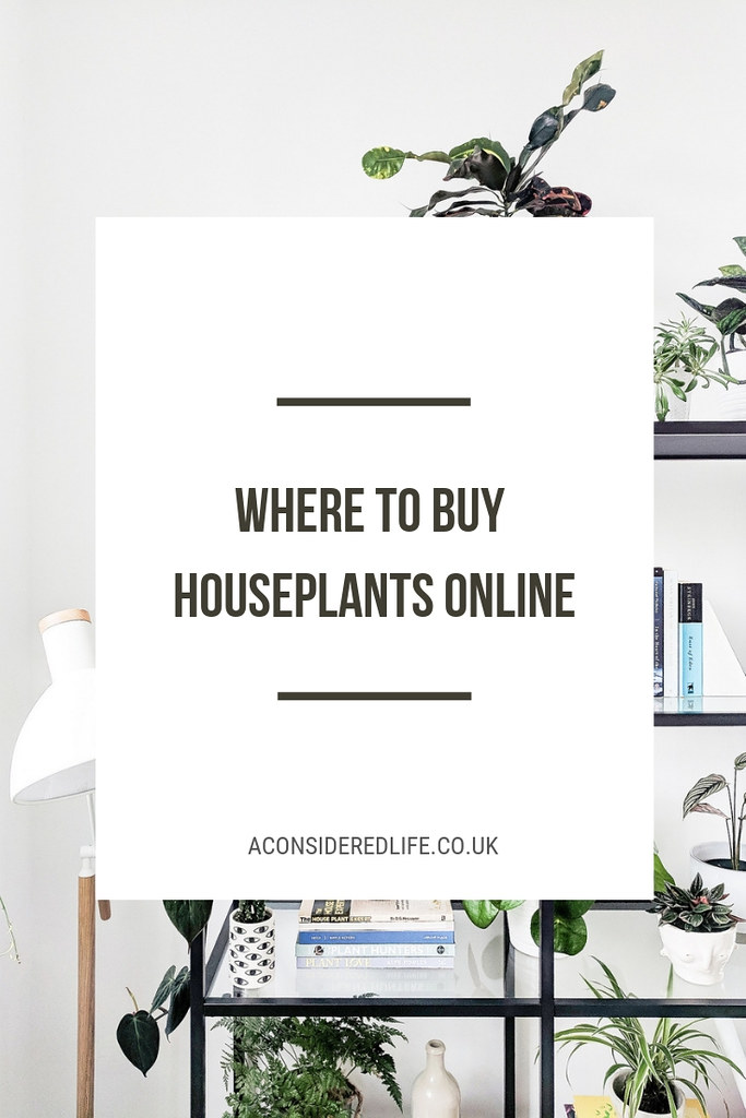 Buying Plants Online A Considered Life
