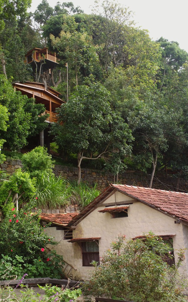 Tree house! Glenrock Estates, Yercaud! Supremely beautiful