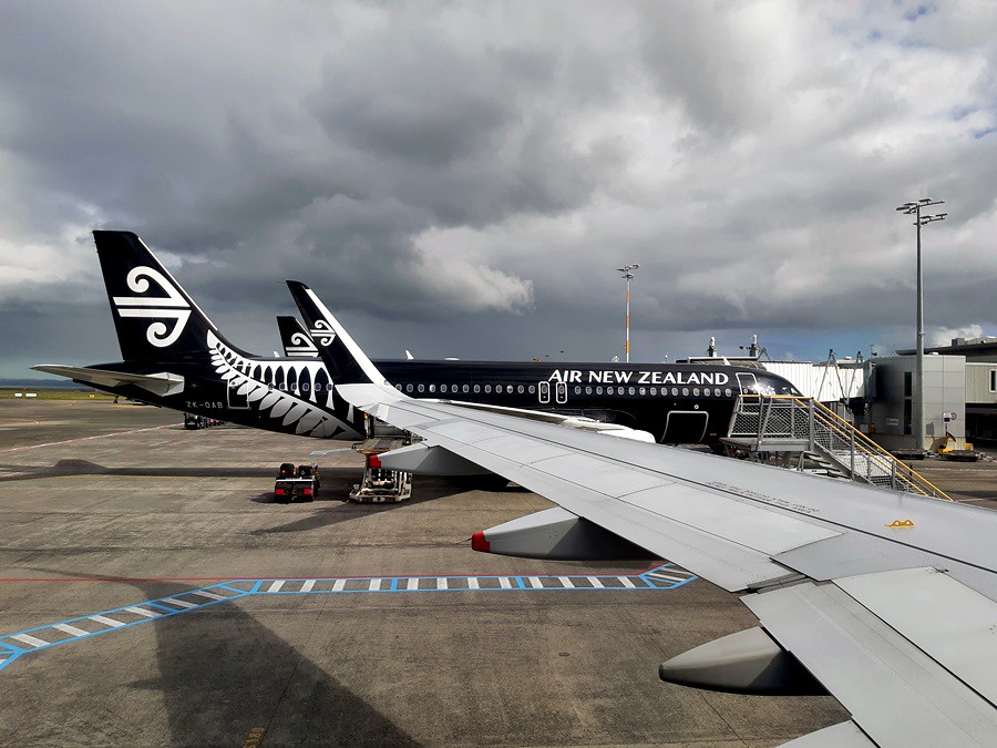 Review of Air New Zealand flight from Auckland to Wellington in Economy