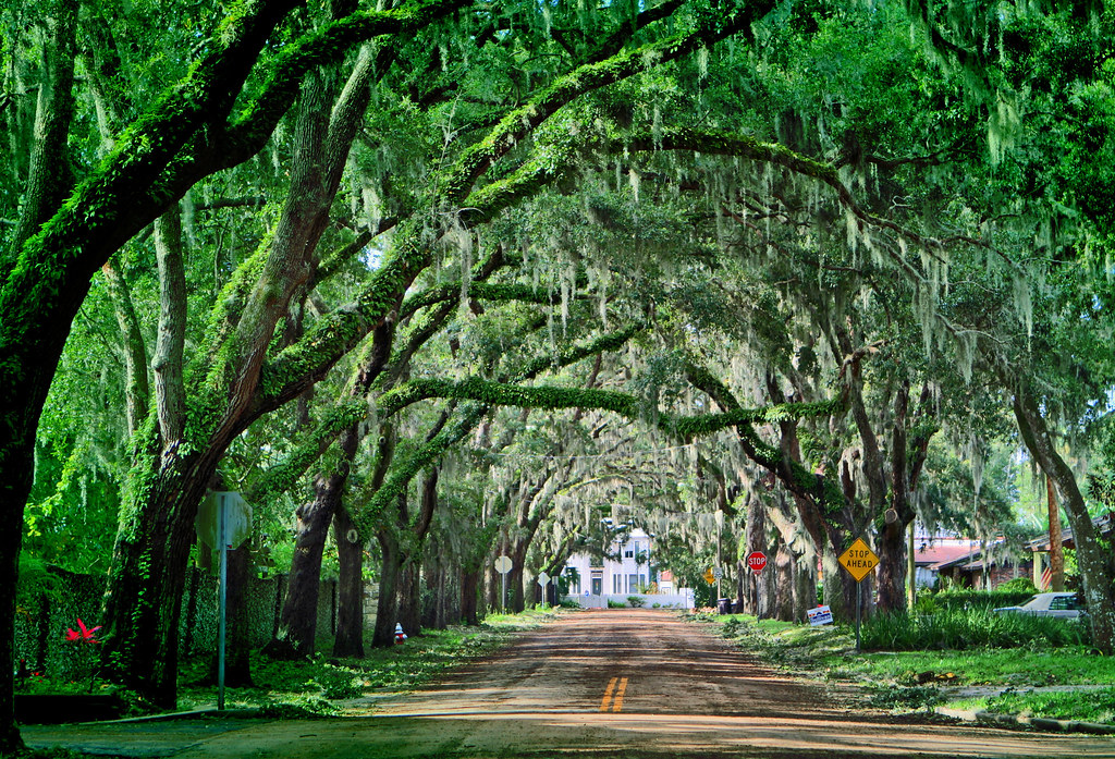 Fountain of YouthMagnolia Street Magnolia street in front… Flickr