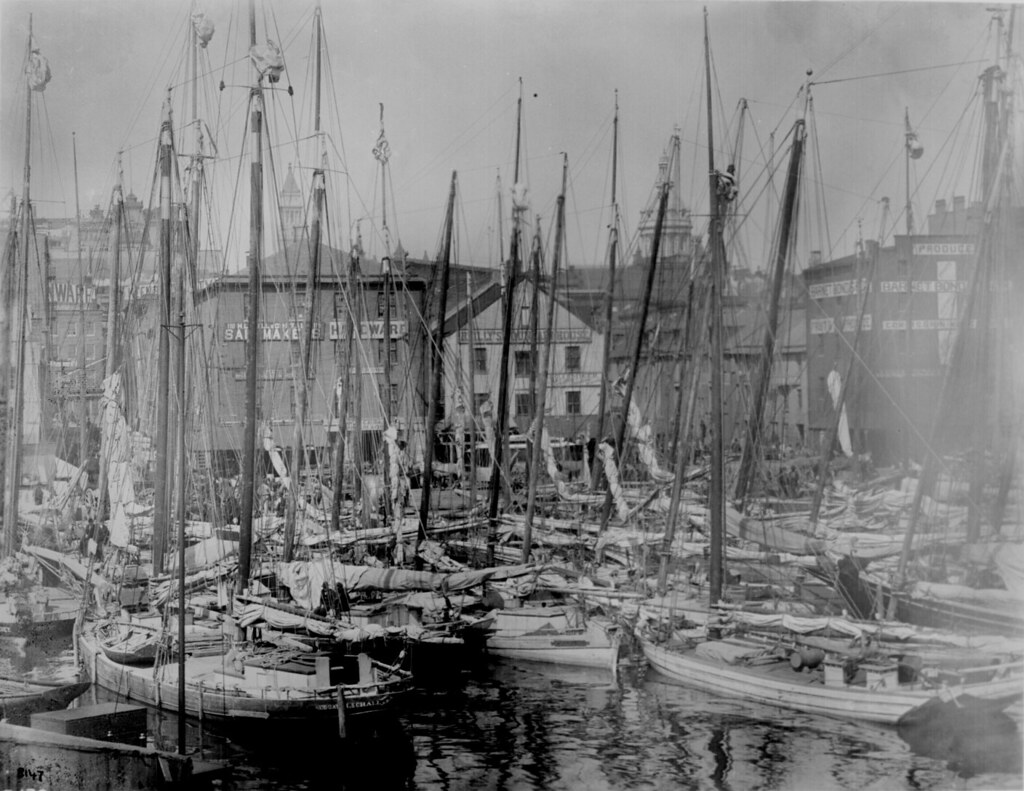 Oyster fleet in Baltimore Harbor Oyster fleet in Baltimore… Flickr