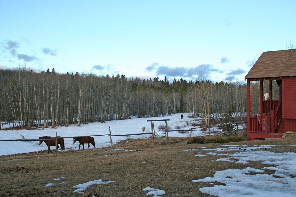 Homeplace Ranch in Alberta, Canada A paradise for horselo… Flickr