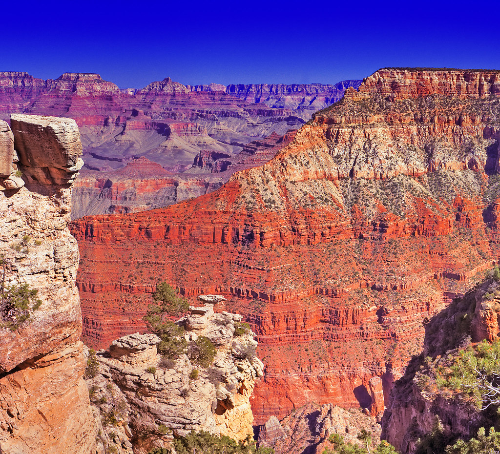 The Grand Canyon contrasting colors. It almost se… Flickr