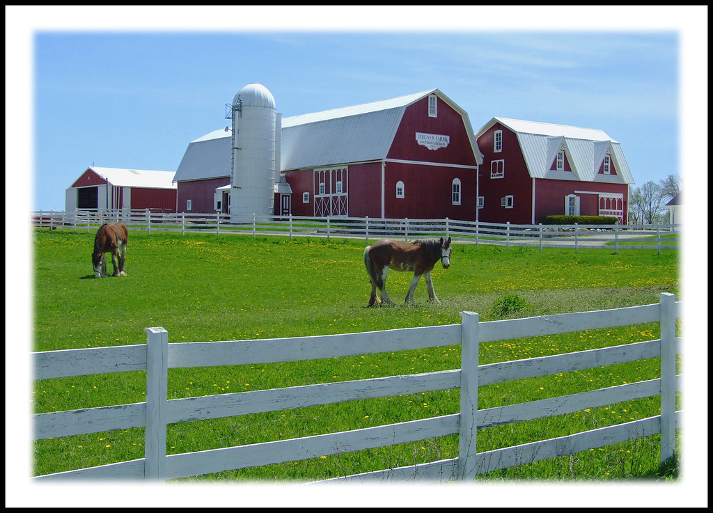Wegner Farms, Clinton The Wegner Farms are at the north ed… Flickr