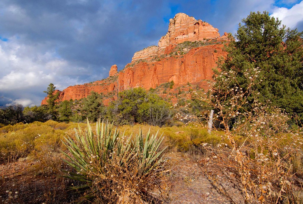 Sedona field Rock formations in Sedona, Arizona