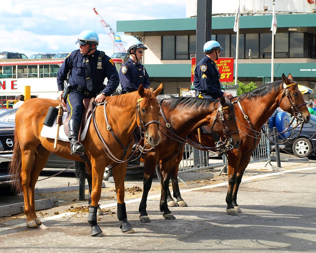PMU NYPD Mounted Police Officers on Horseback at 42nd Stre… Flickr