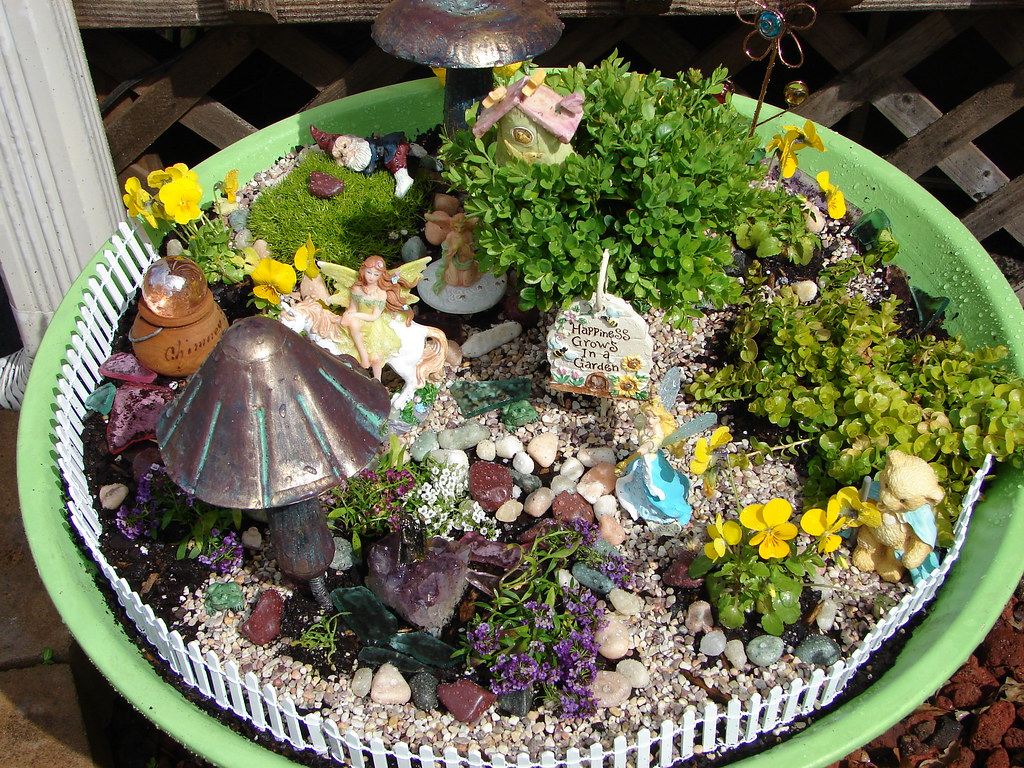 fairy garden This was just after planting my fairy garden