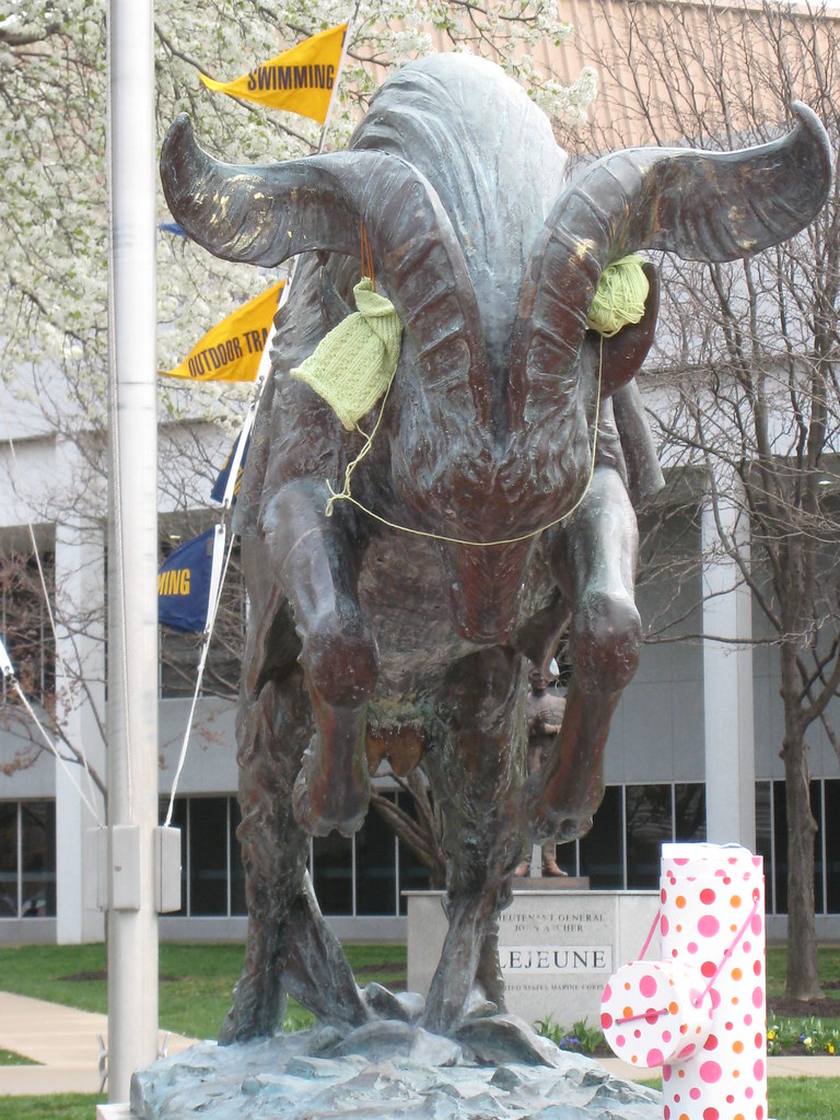 Billy the Goat Closer view of the Naval Academy mascot. Co… Flickr