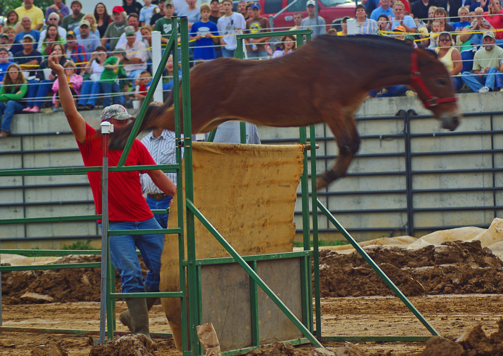 Mule Jump at Altenburg Fair 2008 The owner leads the mule … Flickr