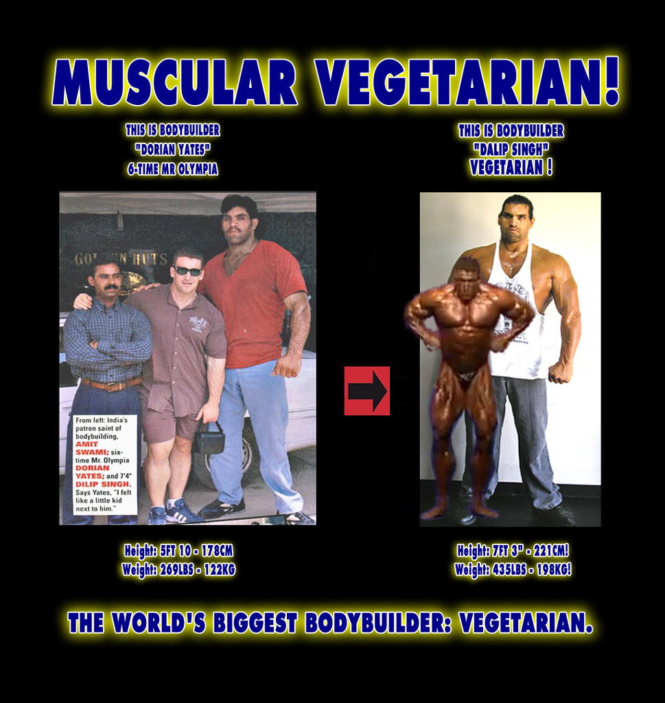 Vegetarian is the Most Massive Bodybuilder on Earth on No … Flickr