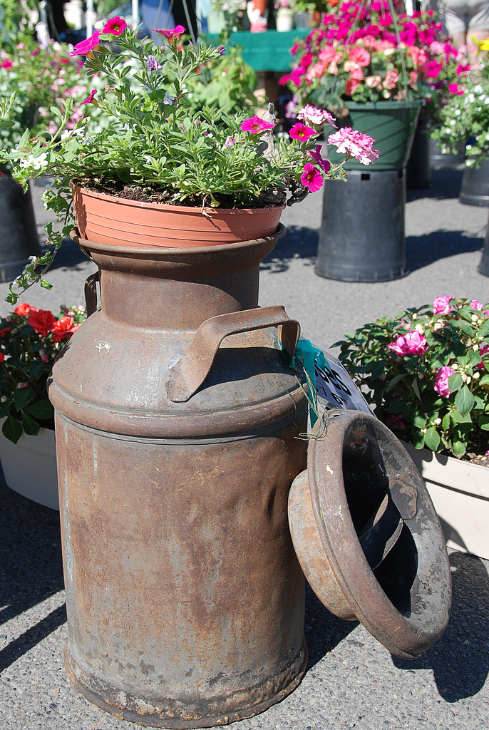 Milkcan planter Pat Kight Flickr