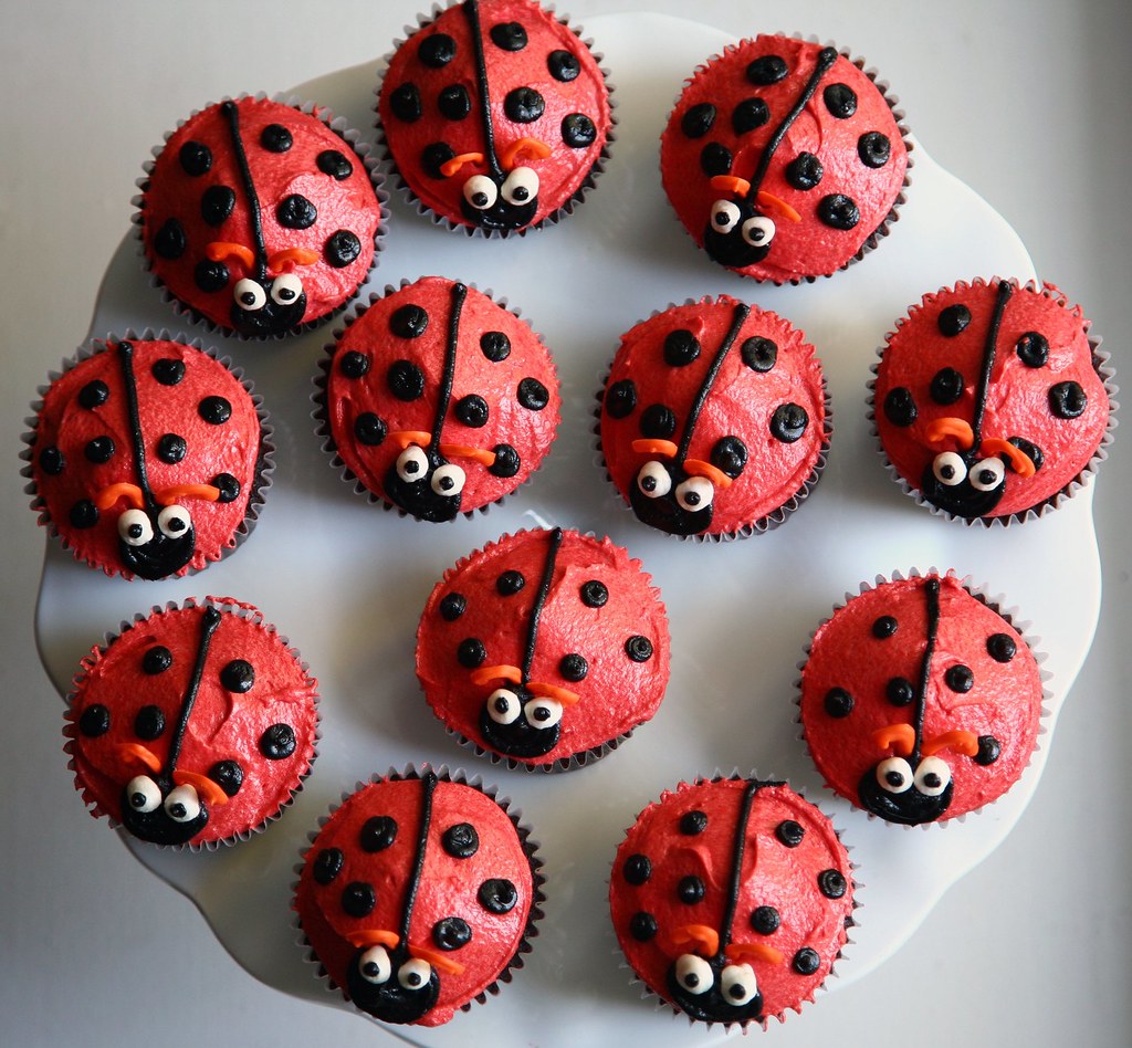 Eliza's Ladybug cupcakes photo by www.dougschneiderphoto.c… Flickr