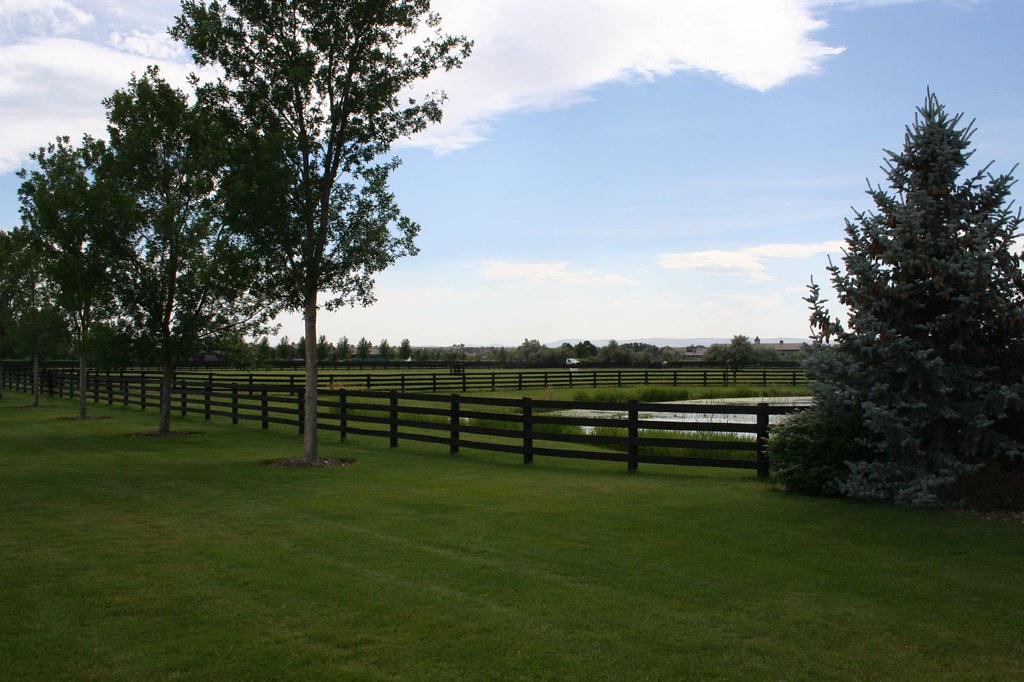 Treetop Farms, Wilder, Idaho Wilder is a city in Canyon Co… Flickr