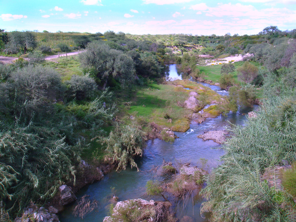 Río Verde desde el Puente Verástegui México 2008 6622 Flickr