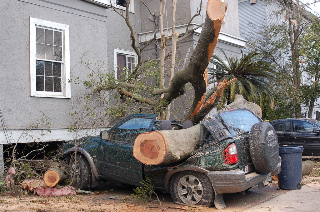 Bad day to be a car Does insurance cover fallen tree limbs