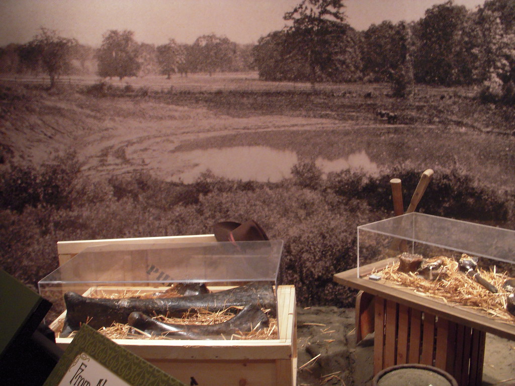 New Jersey marl pit where the dinosaur bones were found roberta