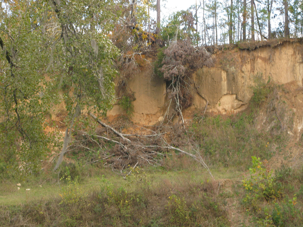 Geology is Beautiful Loess Bluff, Natchez, Adams County, Mississippi
