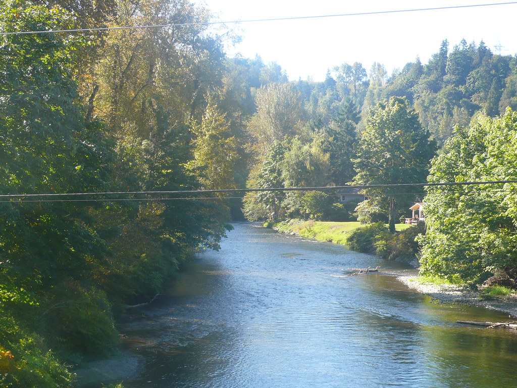 Cedar River Looking up the Cedar River.Renton,Wa. DBATMAN44 Flickr