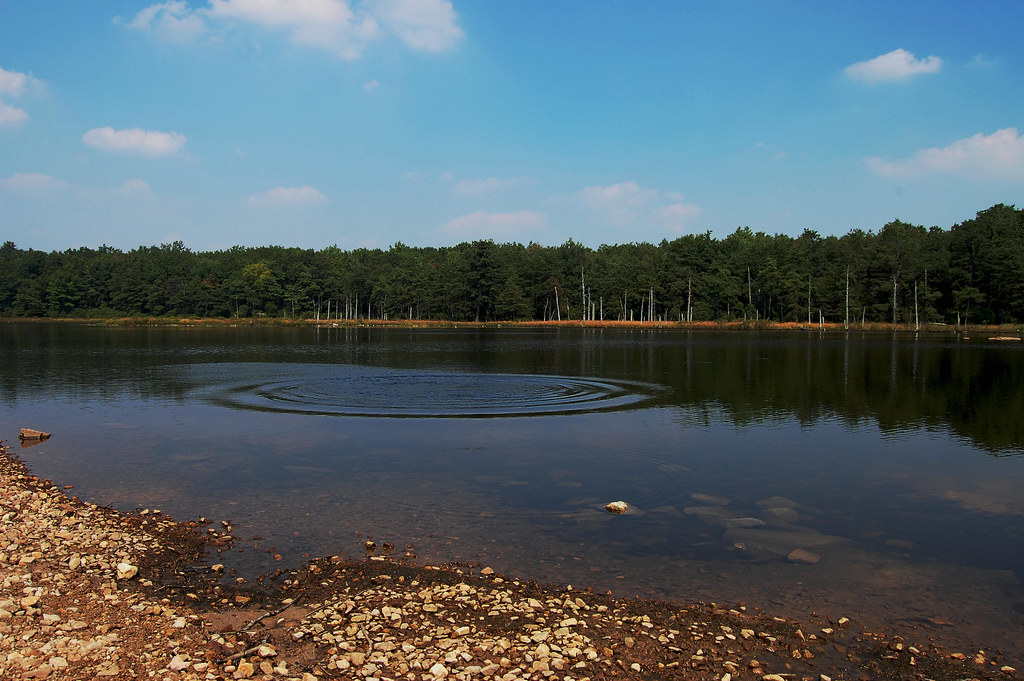 DSC_0334 big bear lake in wv. near bruceton mills. Richard Freeman