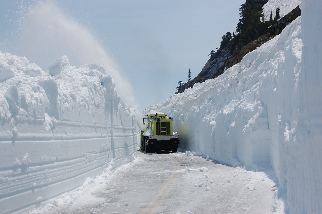 SR 542 Clearing Mount Baker Highway Washington State Dept of