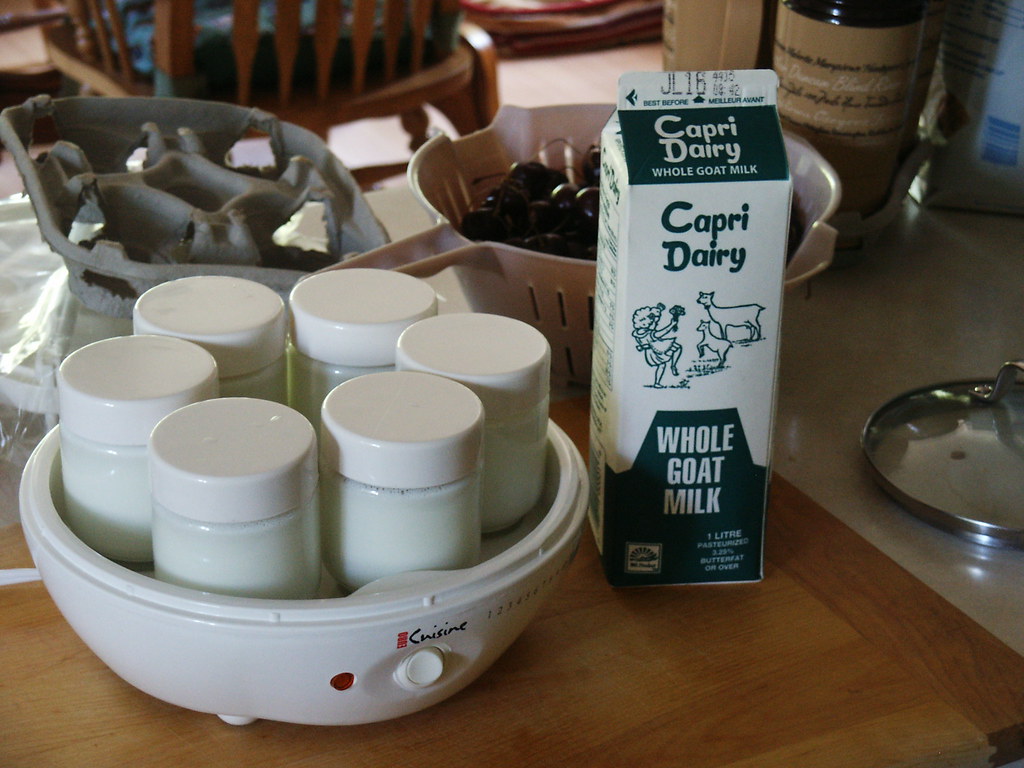 Goat Milk Yogurt Fermented for 24 hours, minimum for maxim… Flickr