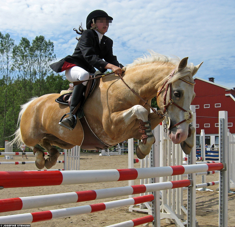 20060617_162 Pony jumping at Clarebergs Ridklubb Gothenb… Flickr