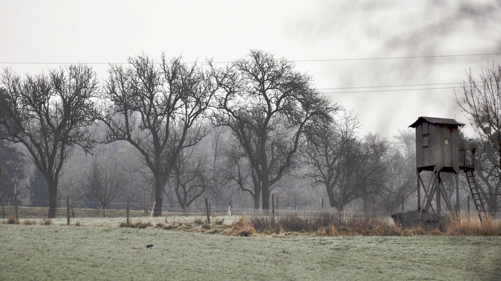 Cold No snow but the humidity makes it colder... Dominique