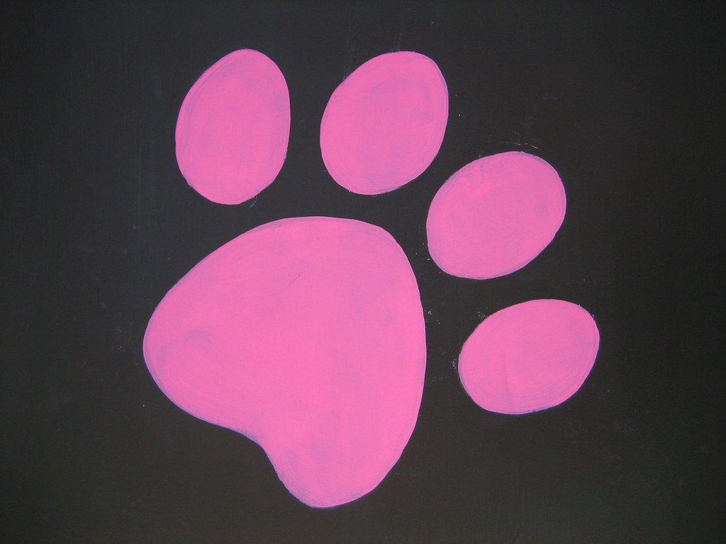 Pink paw print Dave Schweisguth Flickr