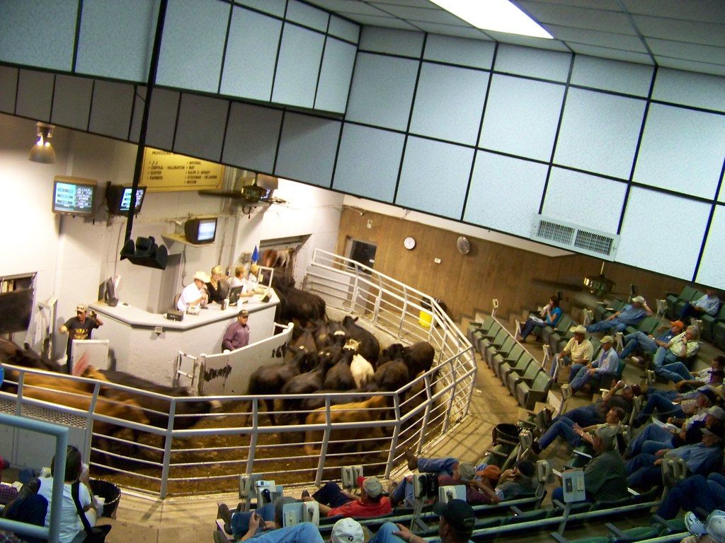 Stockyards City, OKC, OKOklahoma National Stockyards Flickr