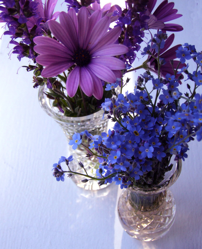 Purple and Blue Flowers in Vases judwal Flickr