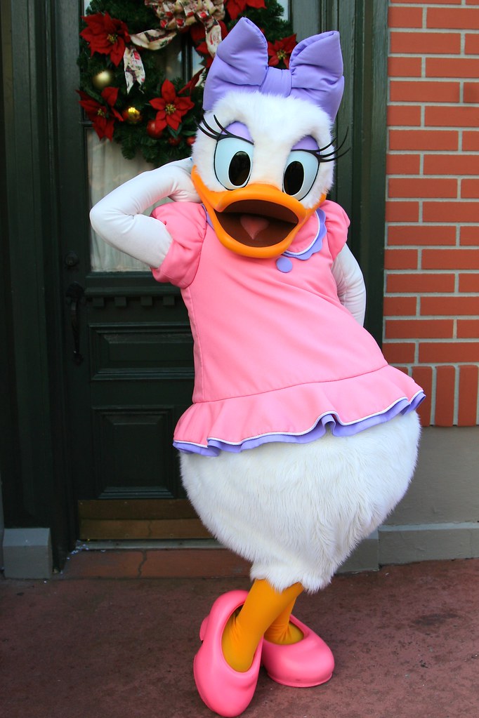 WDW Dec 2008 Meeting Daisy Duck Magic Kingdom, Walt Disn… Flickr