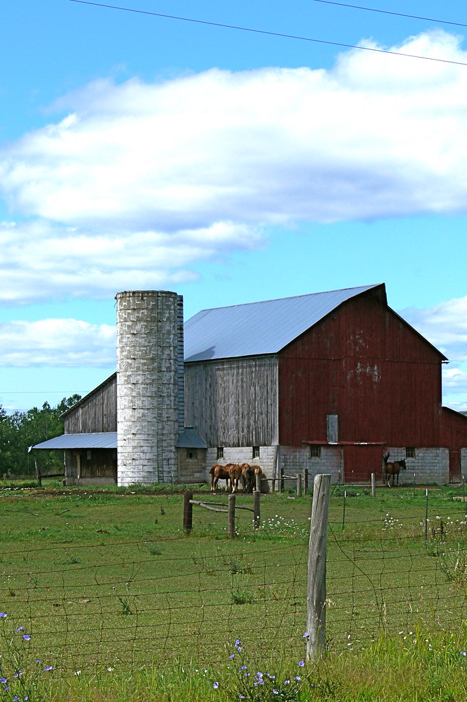 Working Amish Farm, Michigan An Amish farm in Grayling, Mi… Flickr
