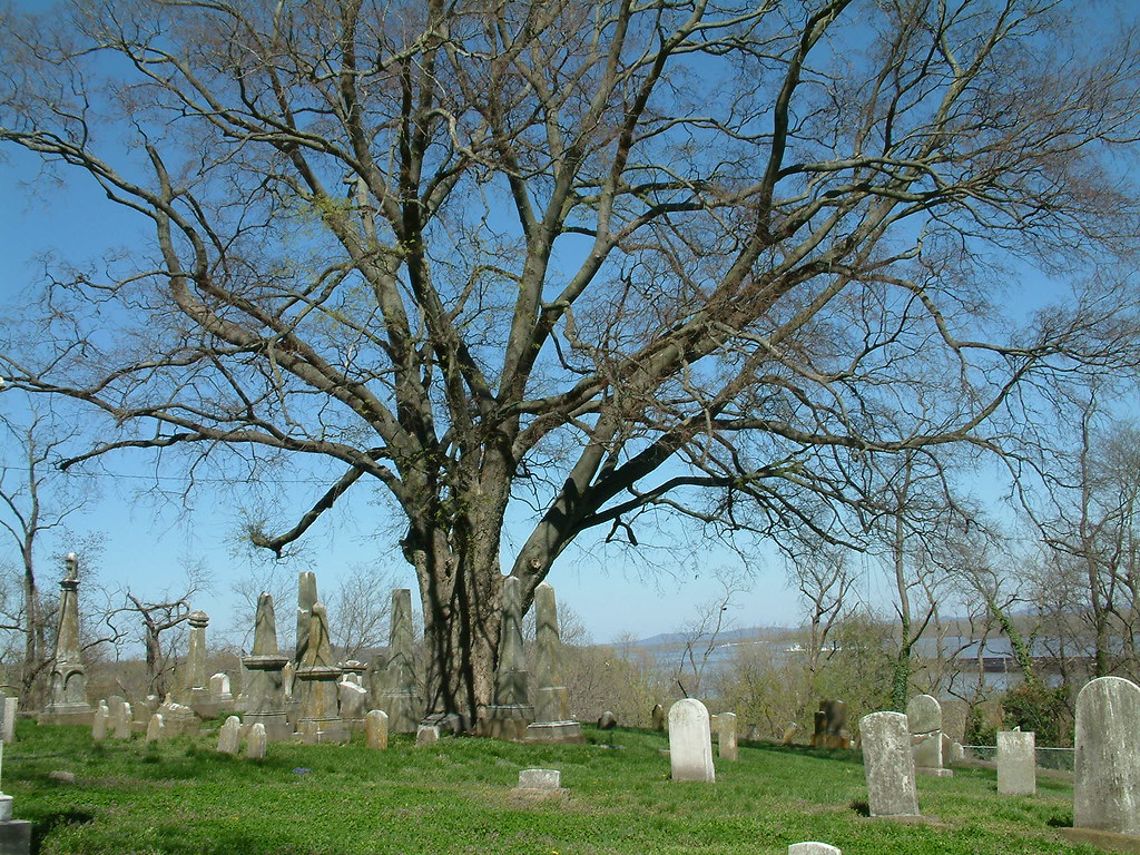 Old Lorimier Cemetery 65 The first cemetery of Cape Girard… Flickr