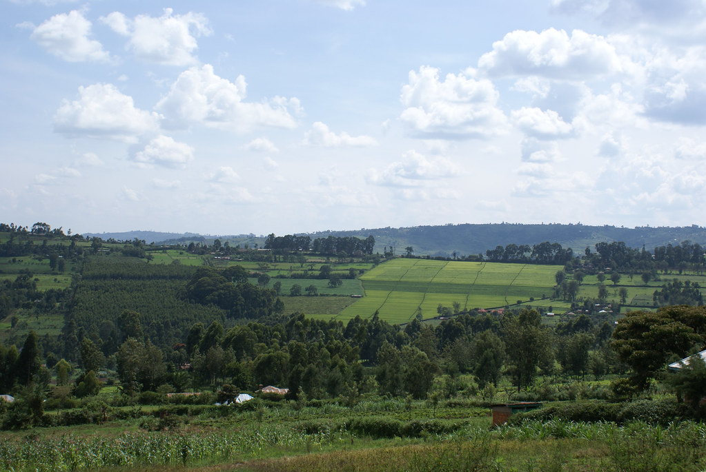 Kisii District, Kenya The highlands of Kisii District in w… Flickr