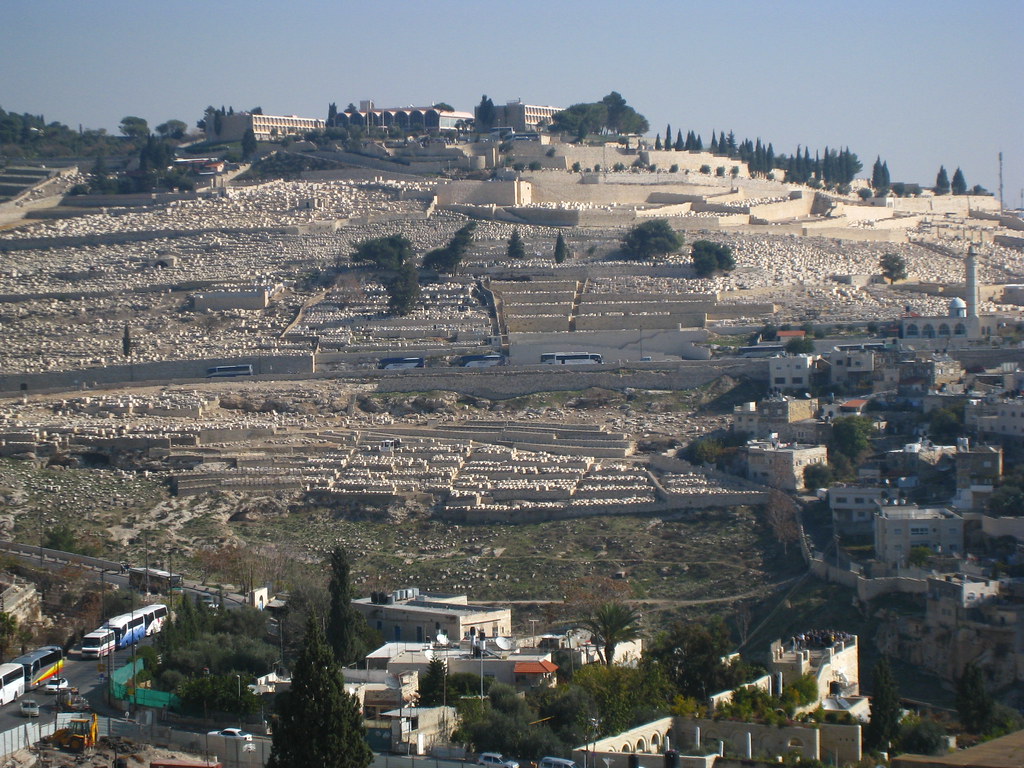 Mount of Olives cemetery View of the Mount of Olives and t… Flickr