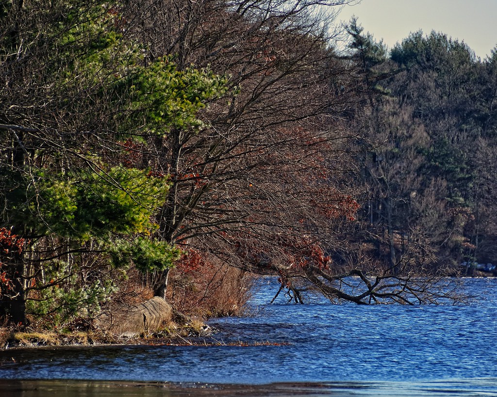 Robbins Pond Inflow Poor Meadow Brook Outflow Satucket… Flickr