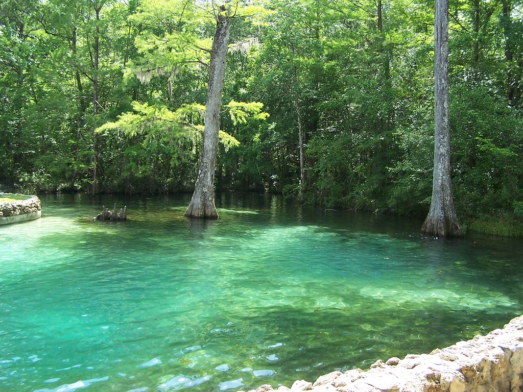 Ponce de Leon Springs State Park (Holmes County) Paul Clark Flickr