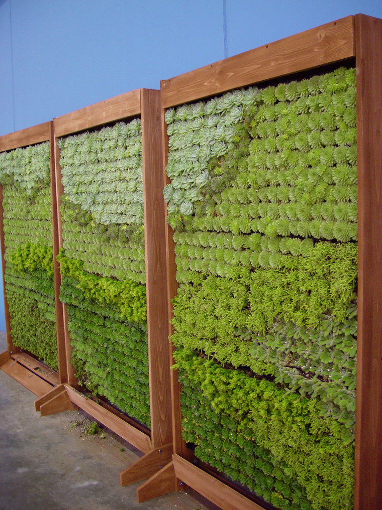 Living Wall Panels by Succulent Gardens Inhabitat Flickr