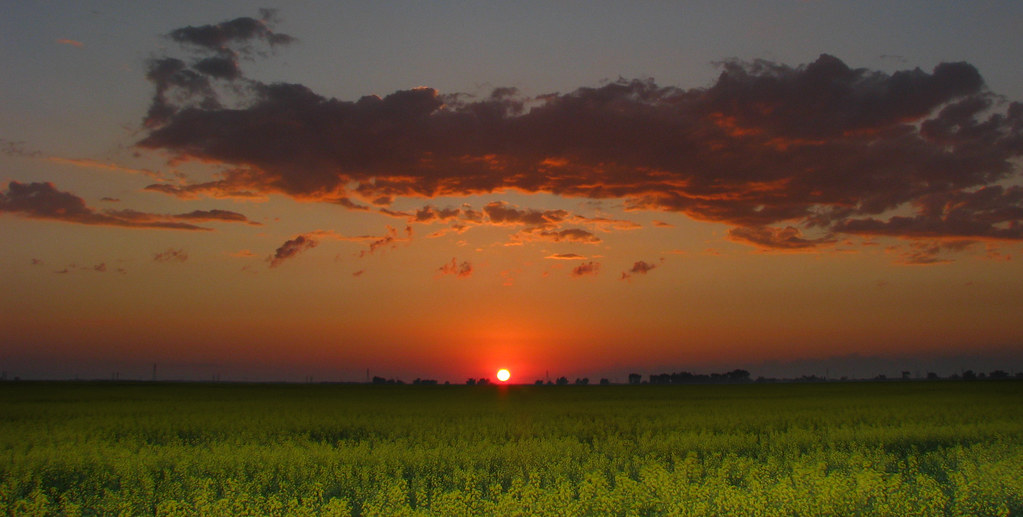 Manitoba prairie sunset Manitoba prairie sunset Flickr