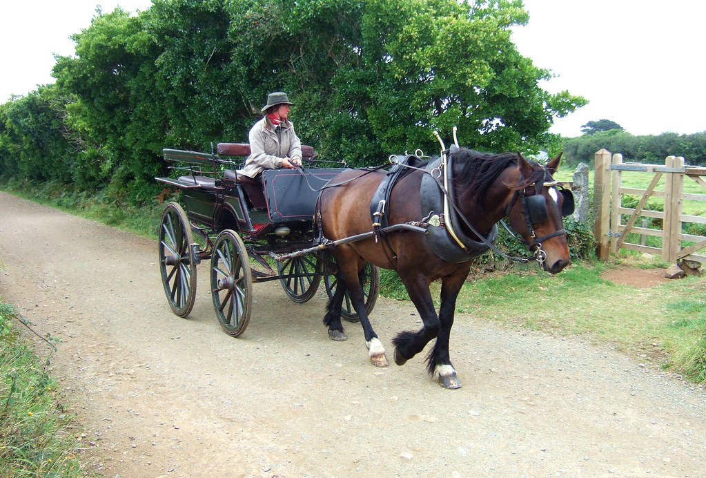 Horse And Cart One of the main forms of transport on Sark … Flickr