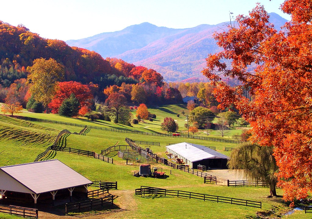 83 Beautiful fall Waynesville landscape Susie Blackmon Flickr