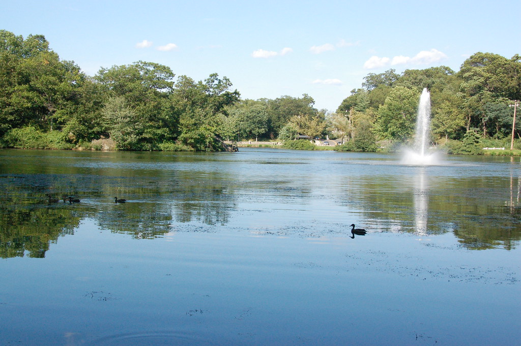 Fellsmere Pond, Malden MA swimming ducks, fountain, and a… Flickr