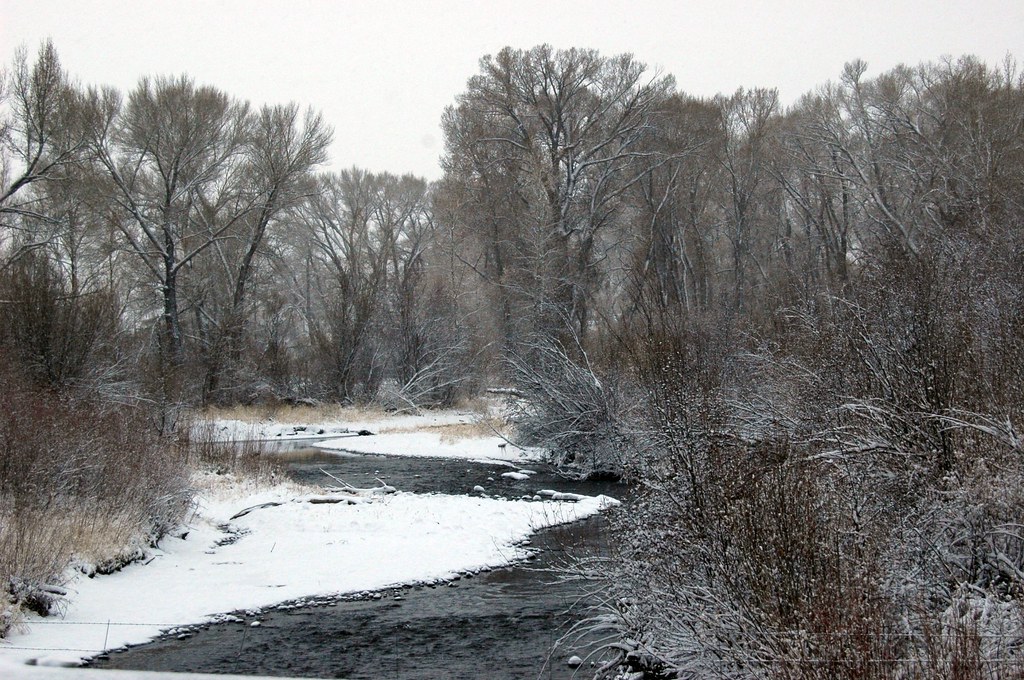 Conejos River Mogote, Colorado SLV Native Flickr