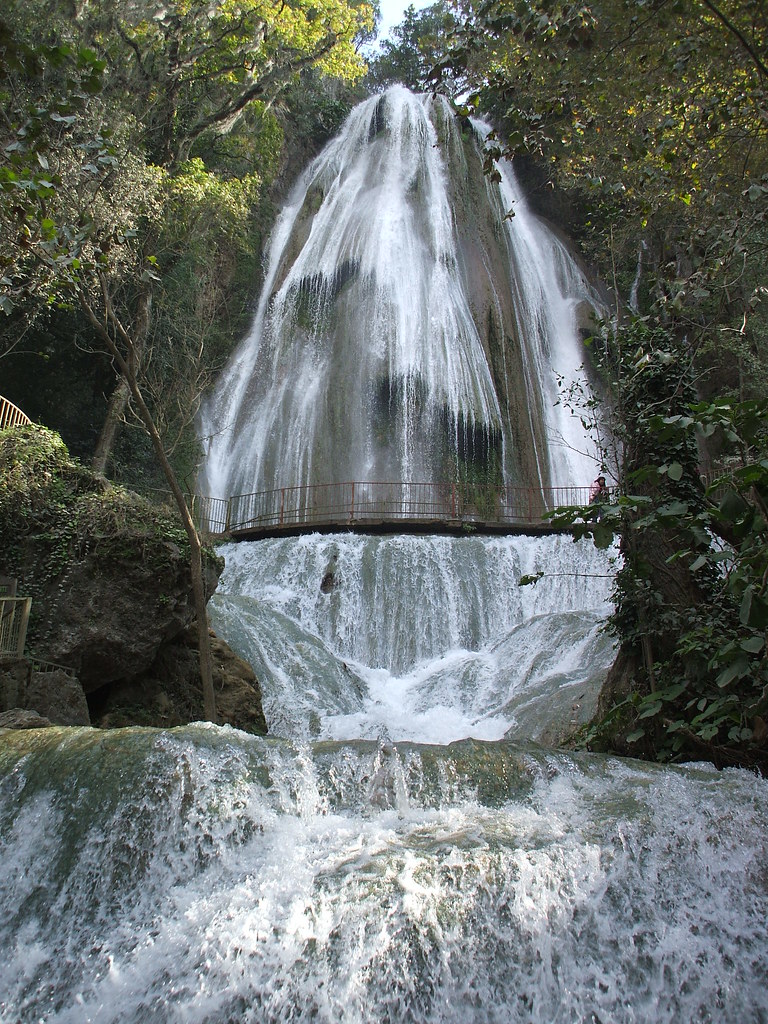 Cola de caballo, Monterrey Monterrey Myrkha Flickr