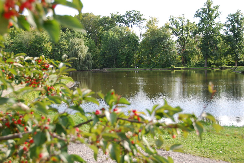 Vassar College Lake Ben San Jose Flickr