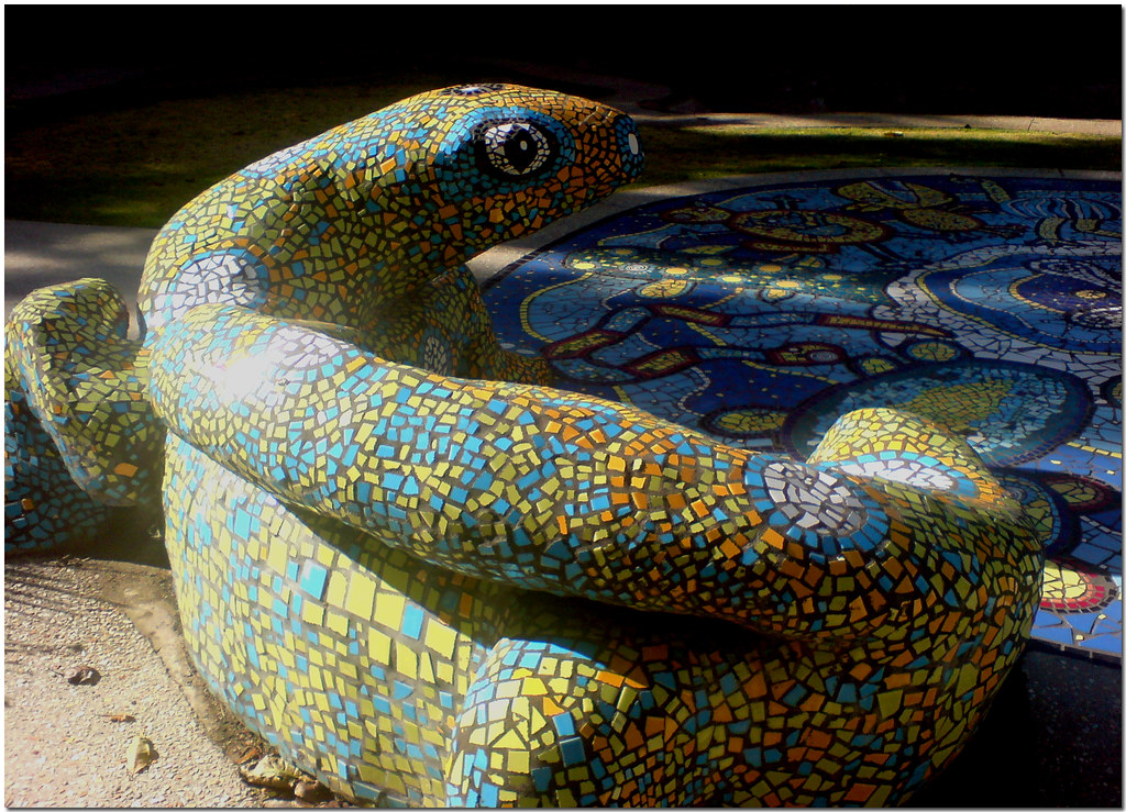 ...Couch Lizard Perth WA Zak Hughen Flickr