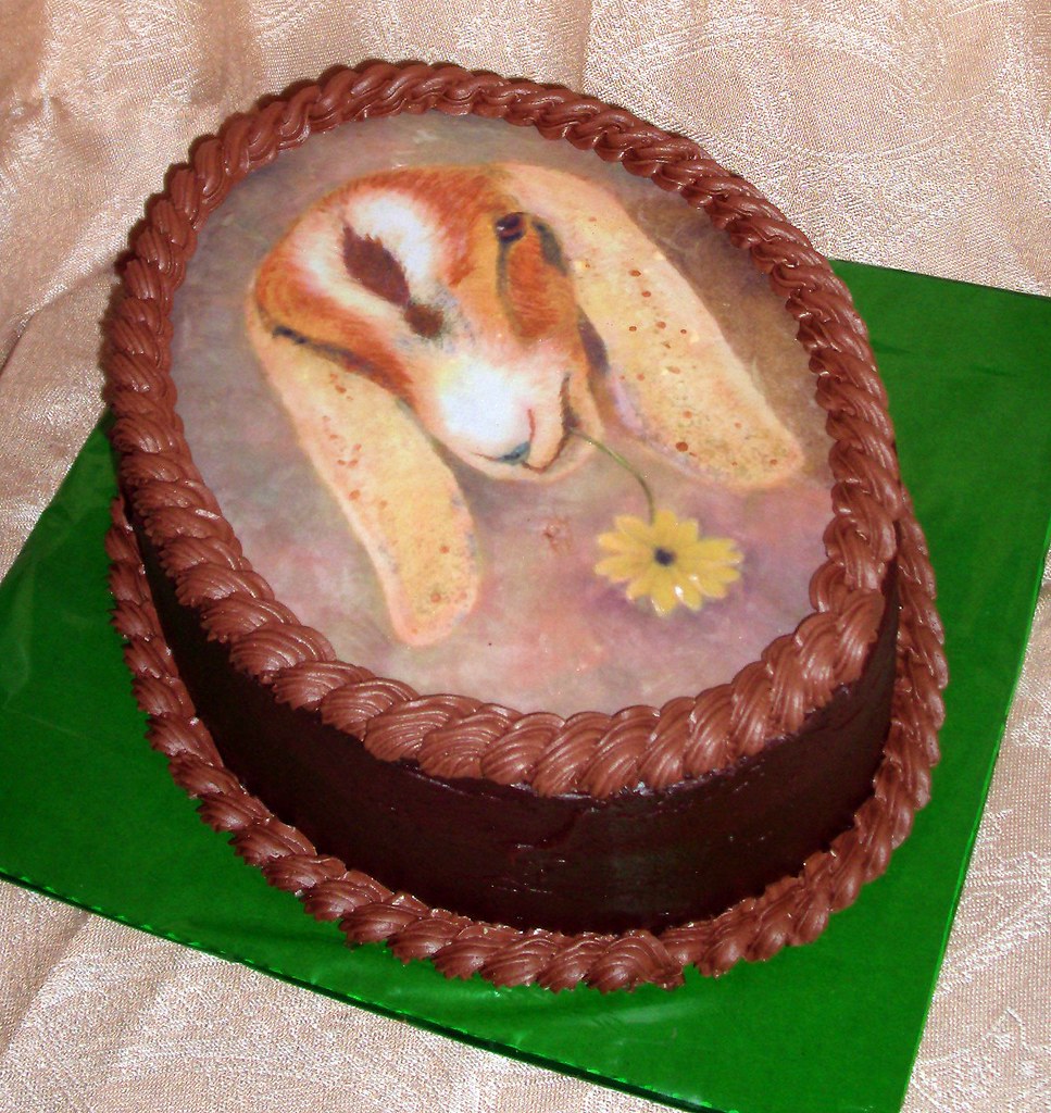 Chocolate Goat Birthday Cake This birthday cake as made fo… Flickr