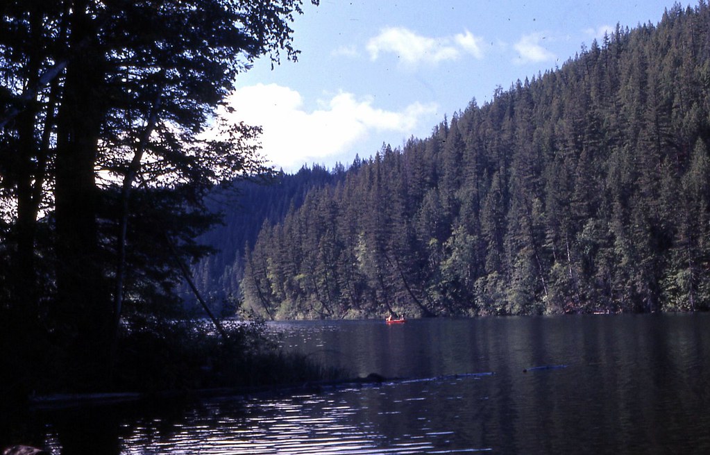 Ruth Lake, Near 100 Mile House, BC 007 British Columbia Qu… Flickr