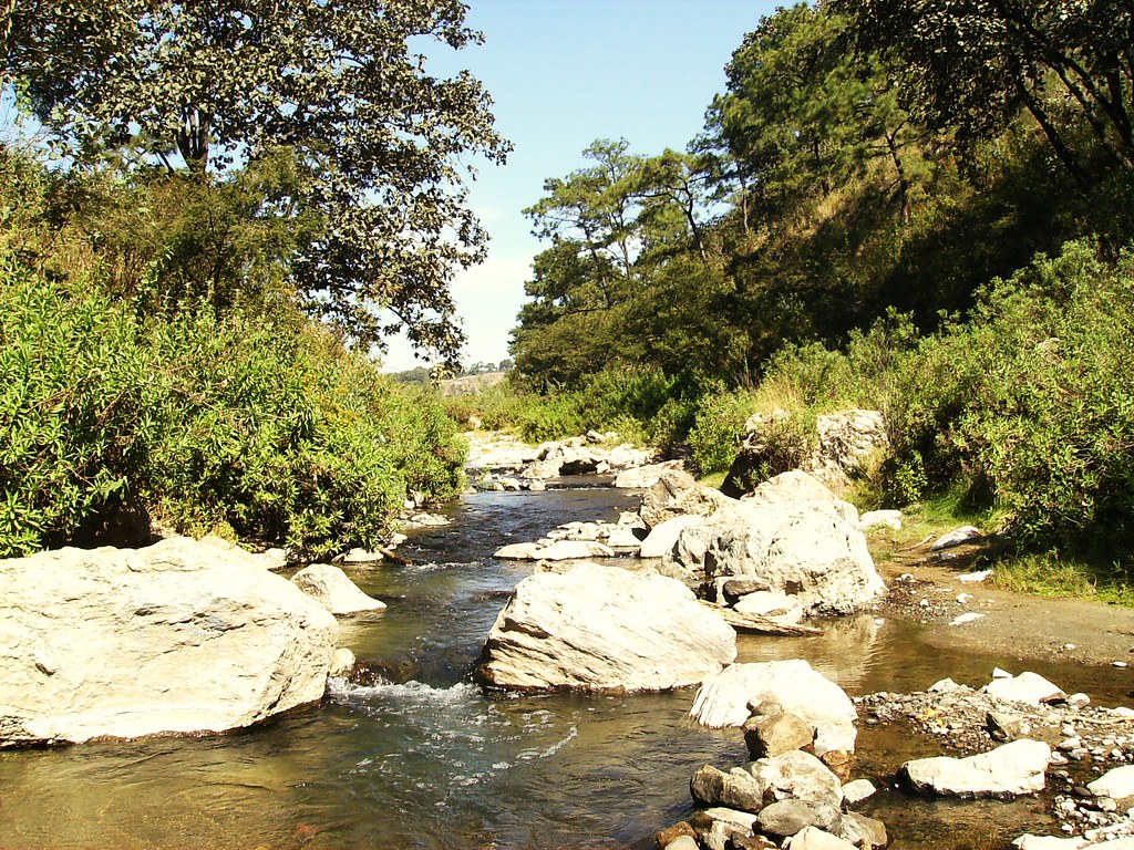 Bosque de la Primavera, Guadalajara, Jalisco alejandropal… Flickr