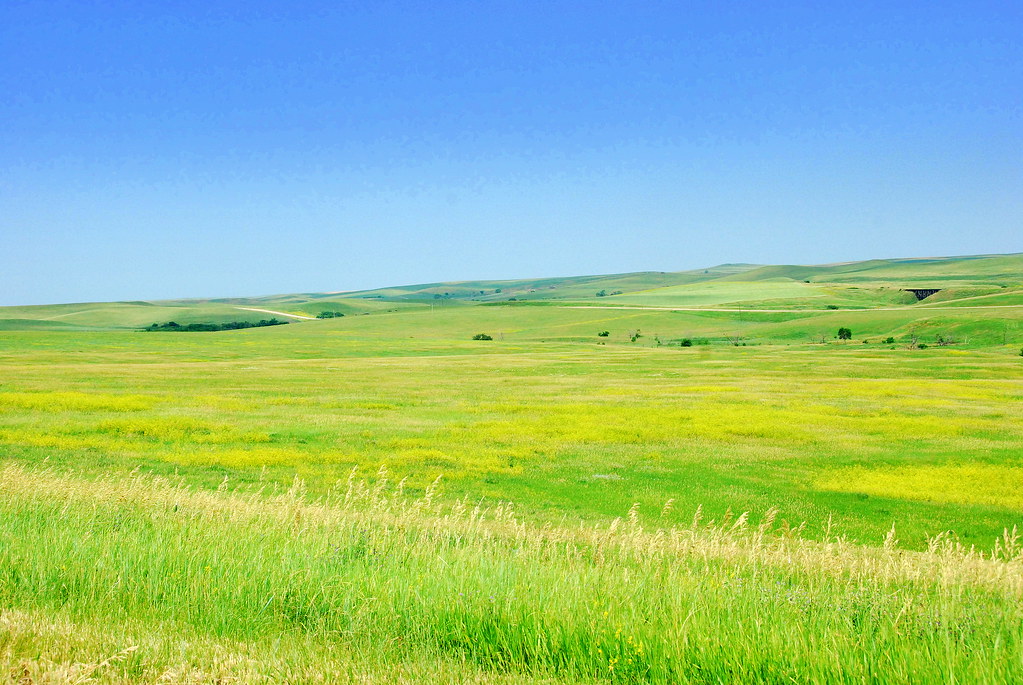 “You're in a grassy meadow, don't move, relax your muscles… Flickr